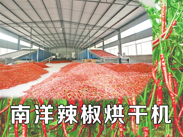 辣椒烘干機