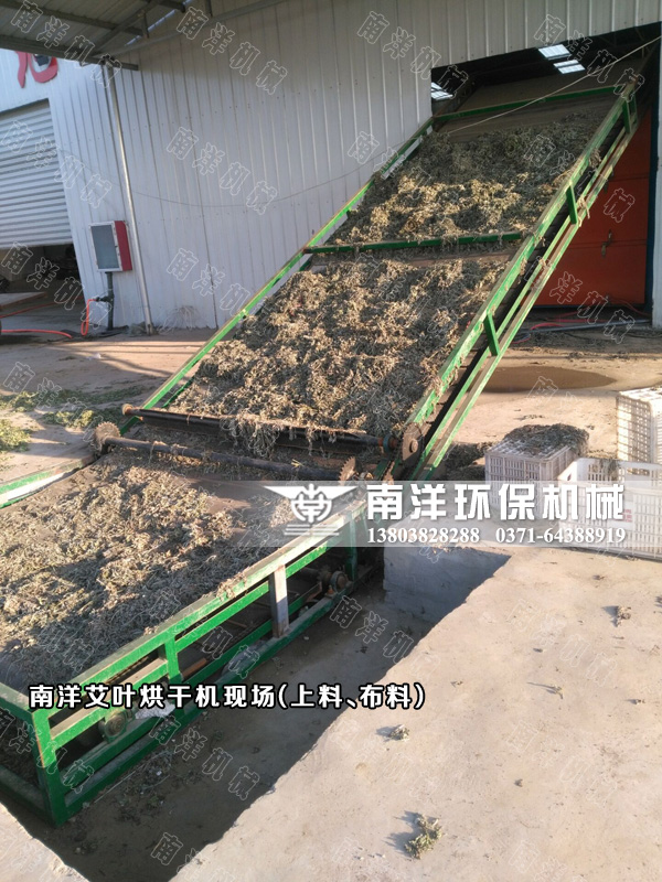 艾葉烘干機用戶現(xiàn)場