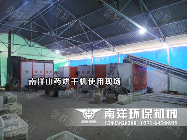 山藥片烘干現(xiàn)場