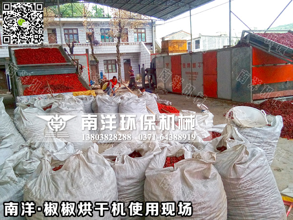 辣椒烘干機(jī)使用現(xiàn)場(chǎng)